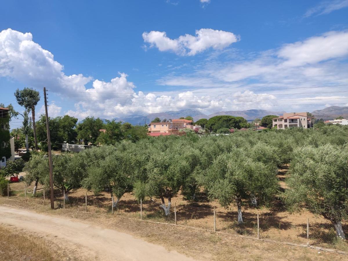 Appartamento Pansion Artemis Mavrovoúnion Esterno foto
