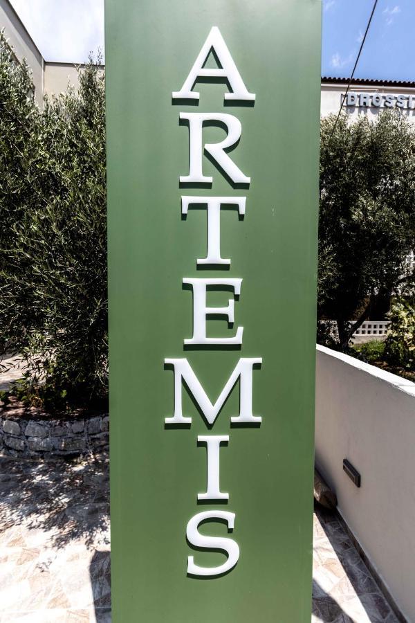 Appartamento Pansion Artemis Mavrovoúnion Esterno foto