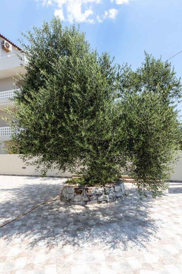 Appartamento Pansion Artemis Mavrovoúnion Esterno foto